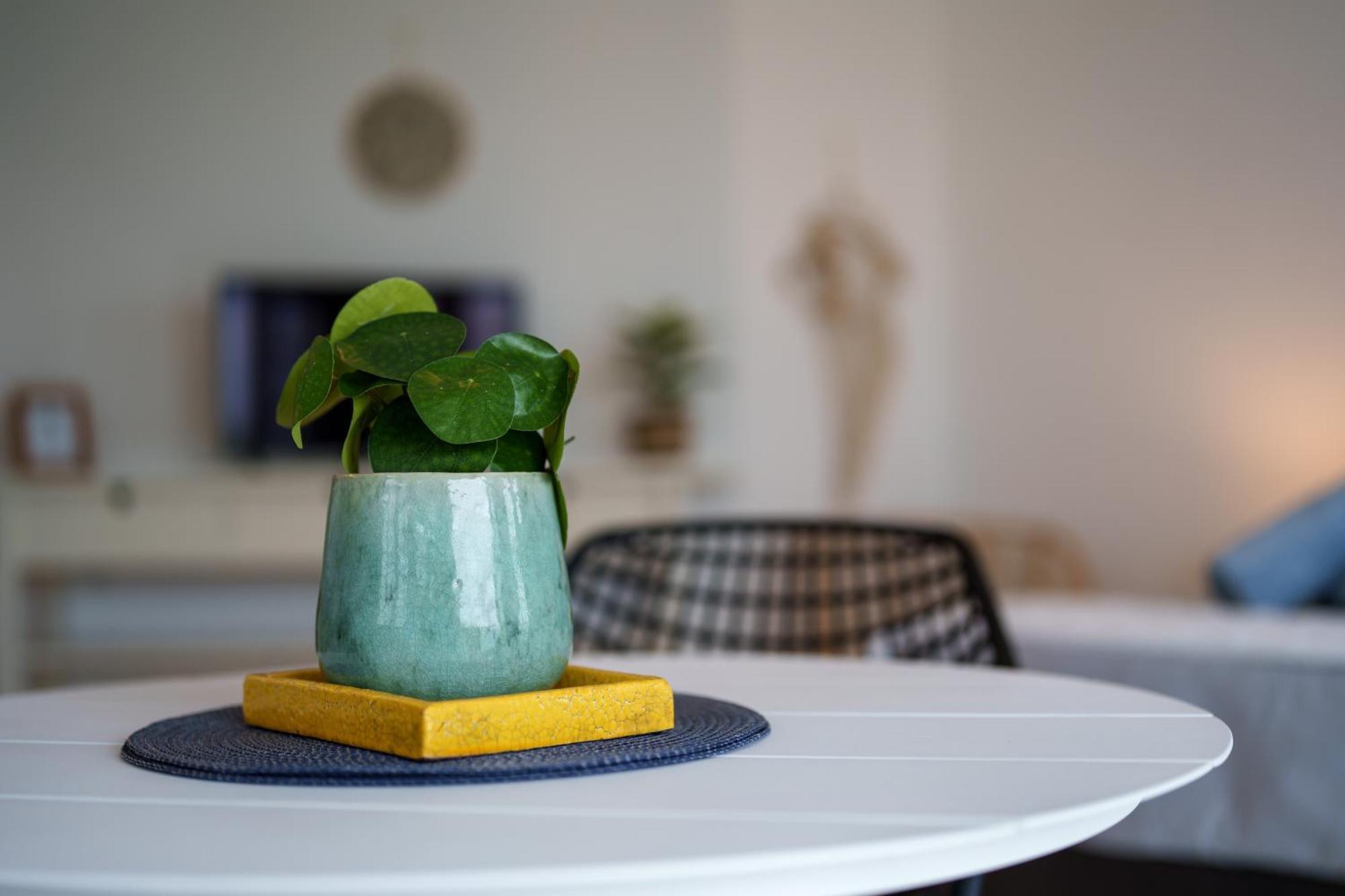 Waterside Apartments Willemstad Ngoại thất bức ảnh
